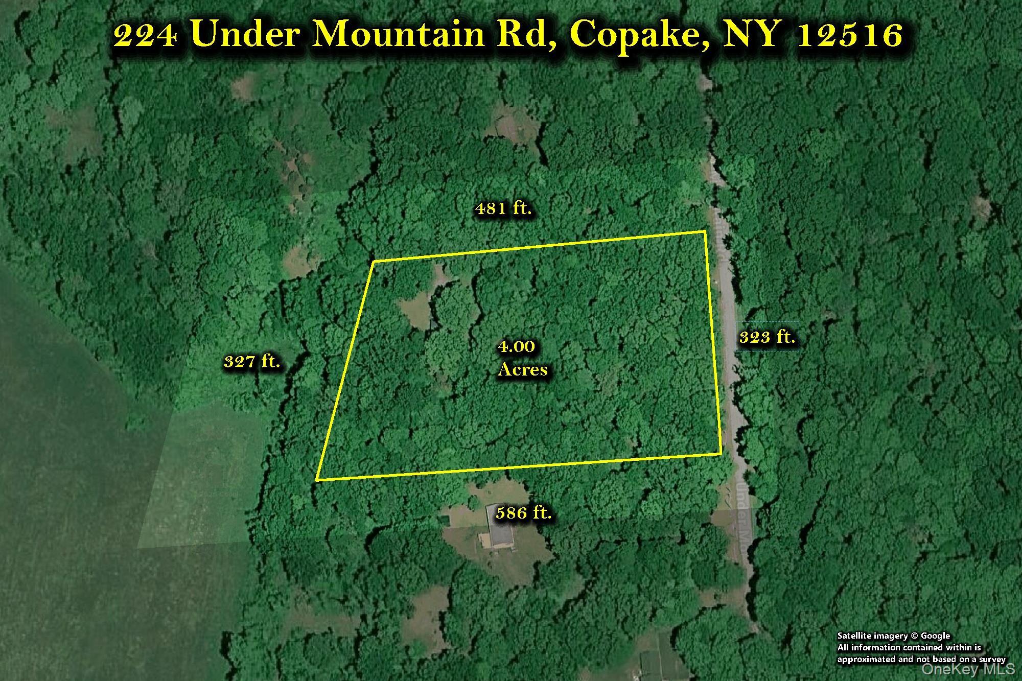 Single Family Under Mountain Road Columbia County, NY 12516, MLS-1048408-41