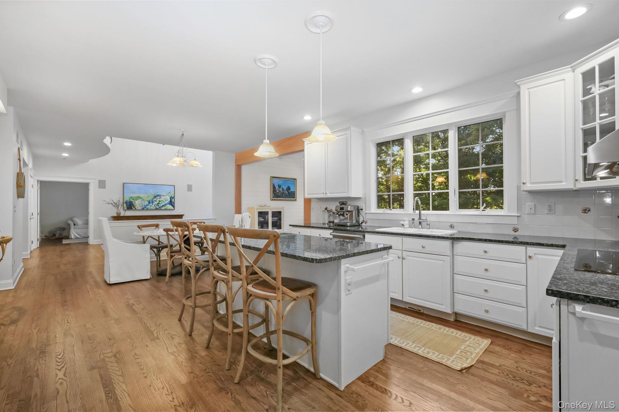 Single Family Hyatt Lane  Westchester County, NY 10589, MLS-1048462-8