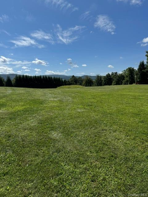 Single Family Pine Island Turnpike  Orange County, NY 10990, MLS-1048562-11