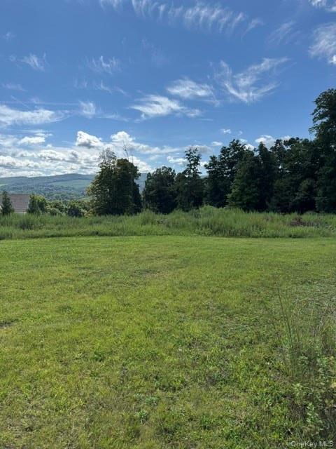 Single Family Pine Island Turnpike  Orange County, NY 10990, MLS-1048562-12