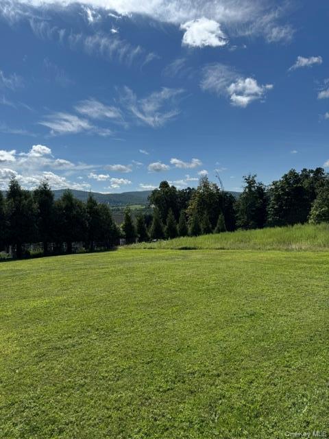 Single Family Pine Island Turnpike  Orange County, NY 10990, MLS-1048562-13
