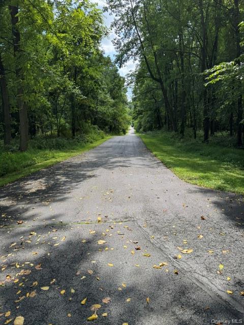 Single Family Pine Island Turnpike  Orange County, NY 10990, MLS-1048562-9