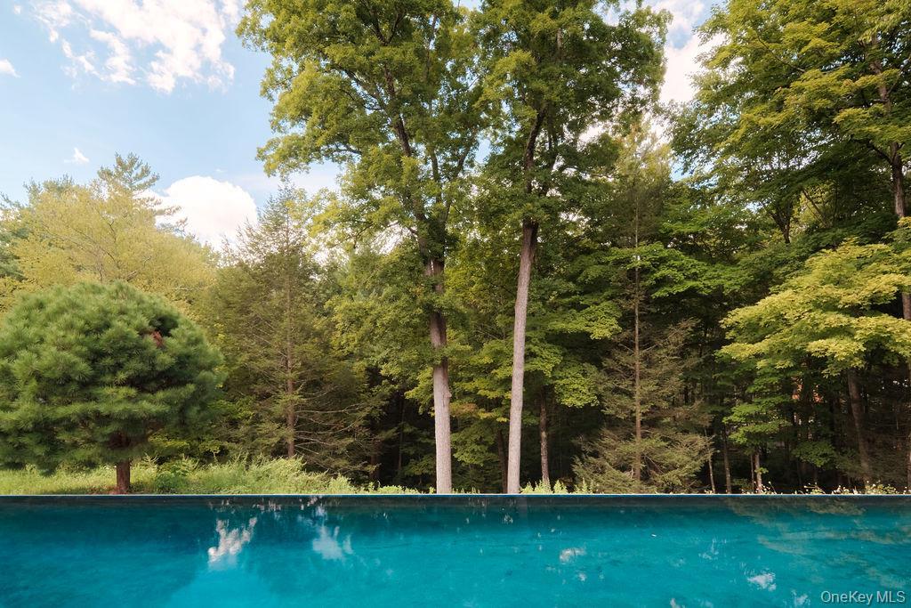 Single Family Sarah Court Dutchess County, NY 12572, MLS-1048583-29