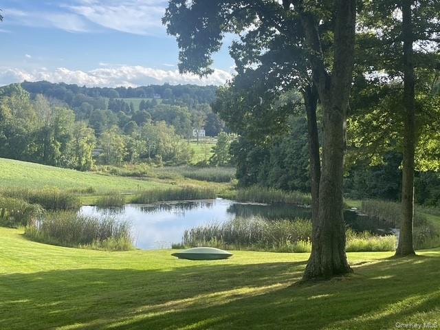 Single Family Fraleigh Hill Road  Dutchess County, NY 12545, MLS-1048609-2