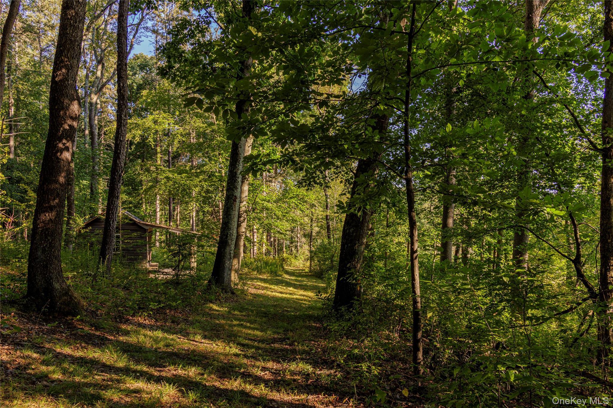 Single Family Fraleigh Hill Road  Dutchess County, NY 12545, MLS-1048609-33