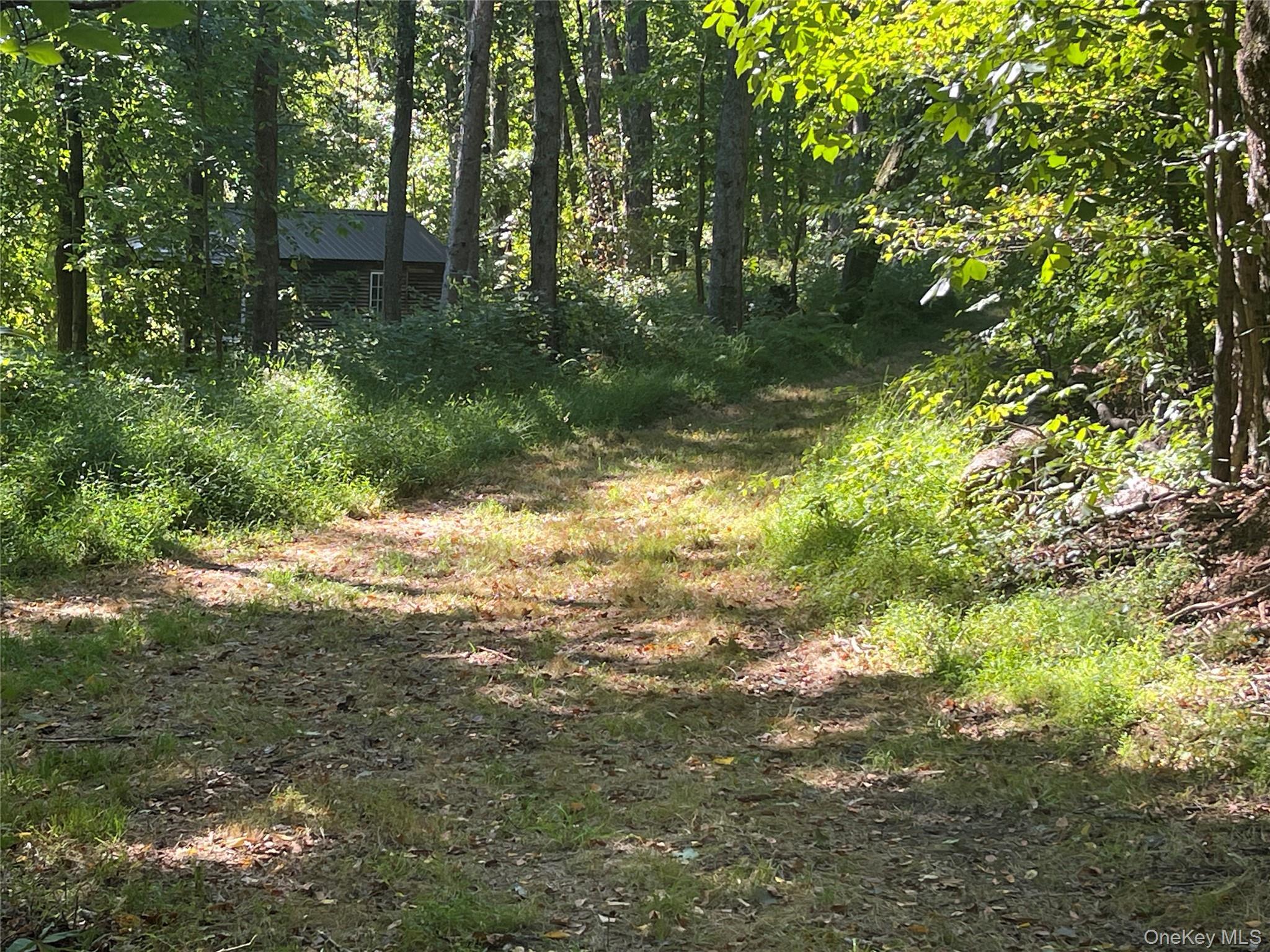 Single Family Fraleigh Hill Road  Dutchess County, NY 12545, MLS-1048609-35