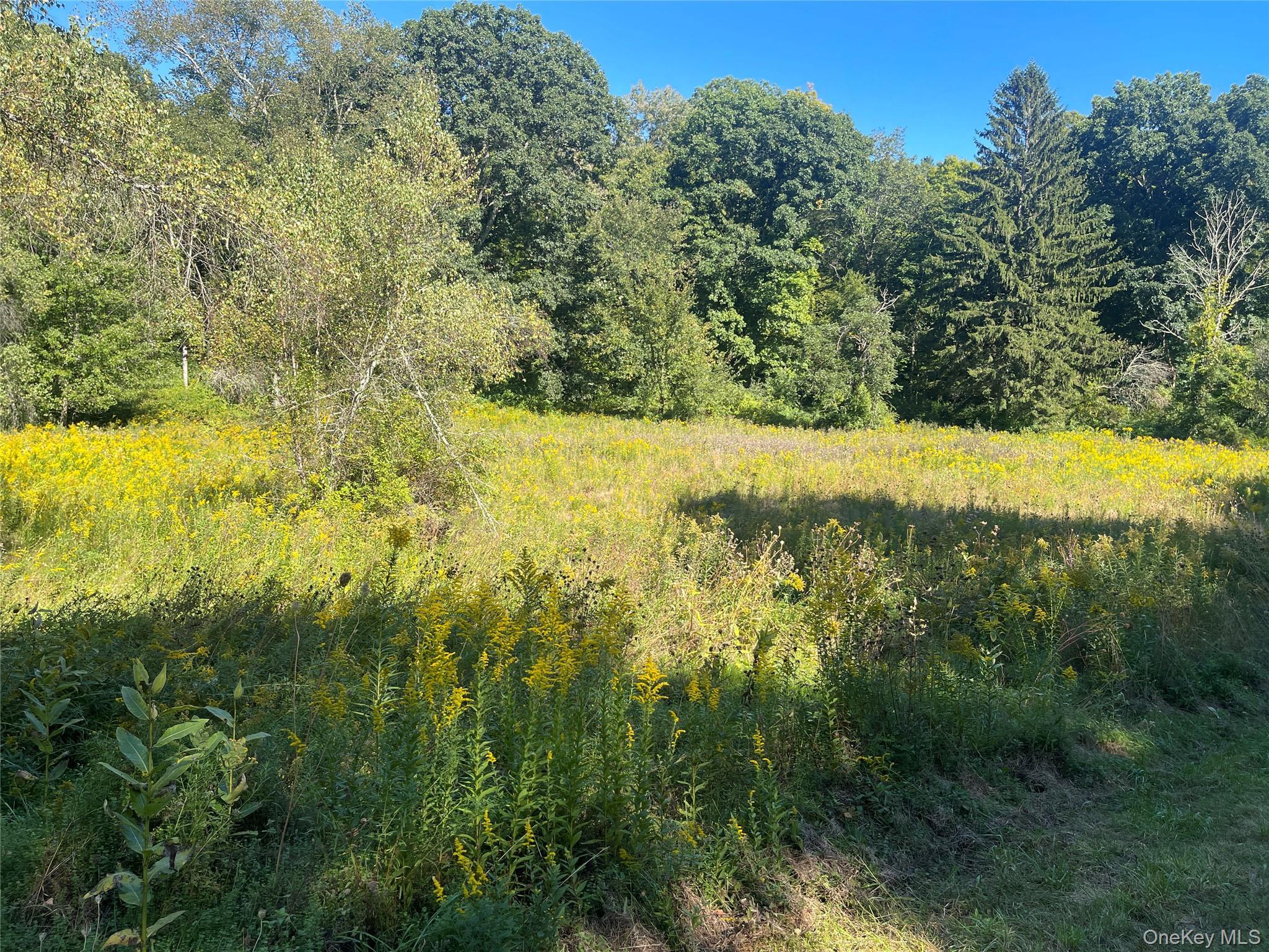 Single Family Fraleigh Hill Road  Dutchess County, NY 12545, MLS-1048609-37