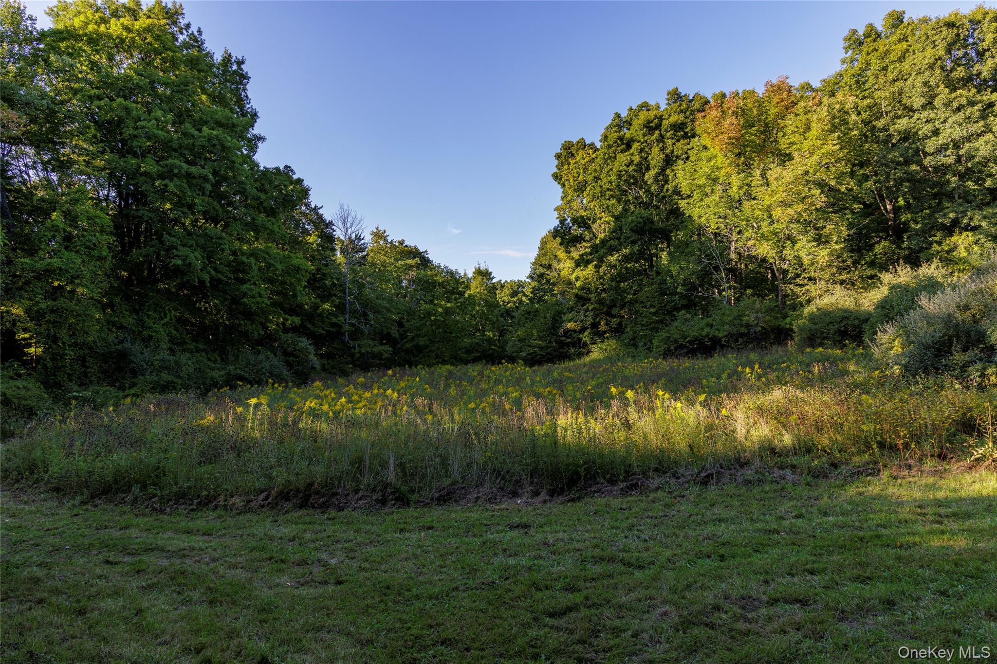 Single Family Fraleigh Hill Road  Dutchess County, NY 12545, MLS-1048609-38