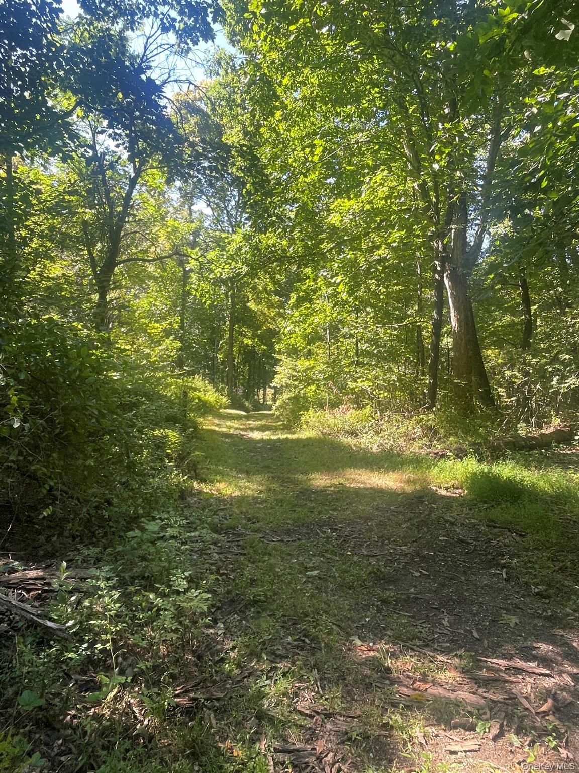 Single Family Fraleigh Hill Road  Dutchess County, NY 12545, MLS-1048609-39