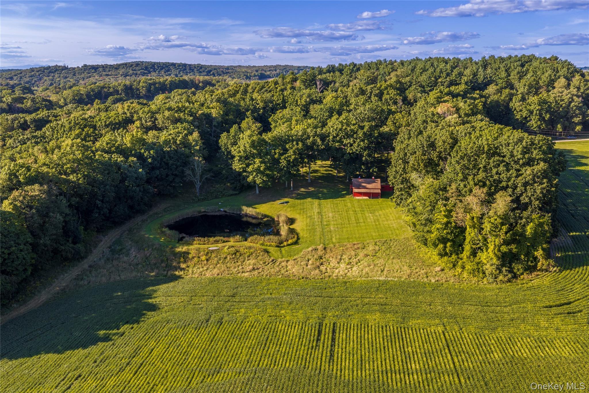 Single Family Fraleigh Hill Road  Dutchess County, NY 12545, MLS-1048609-4