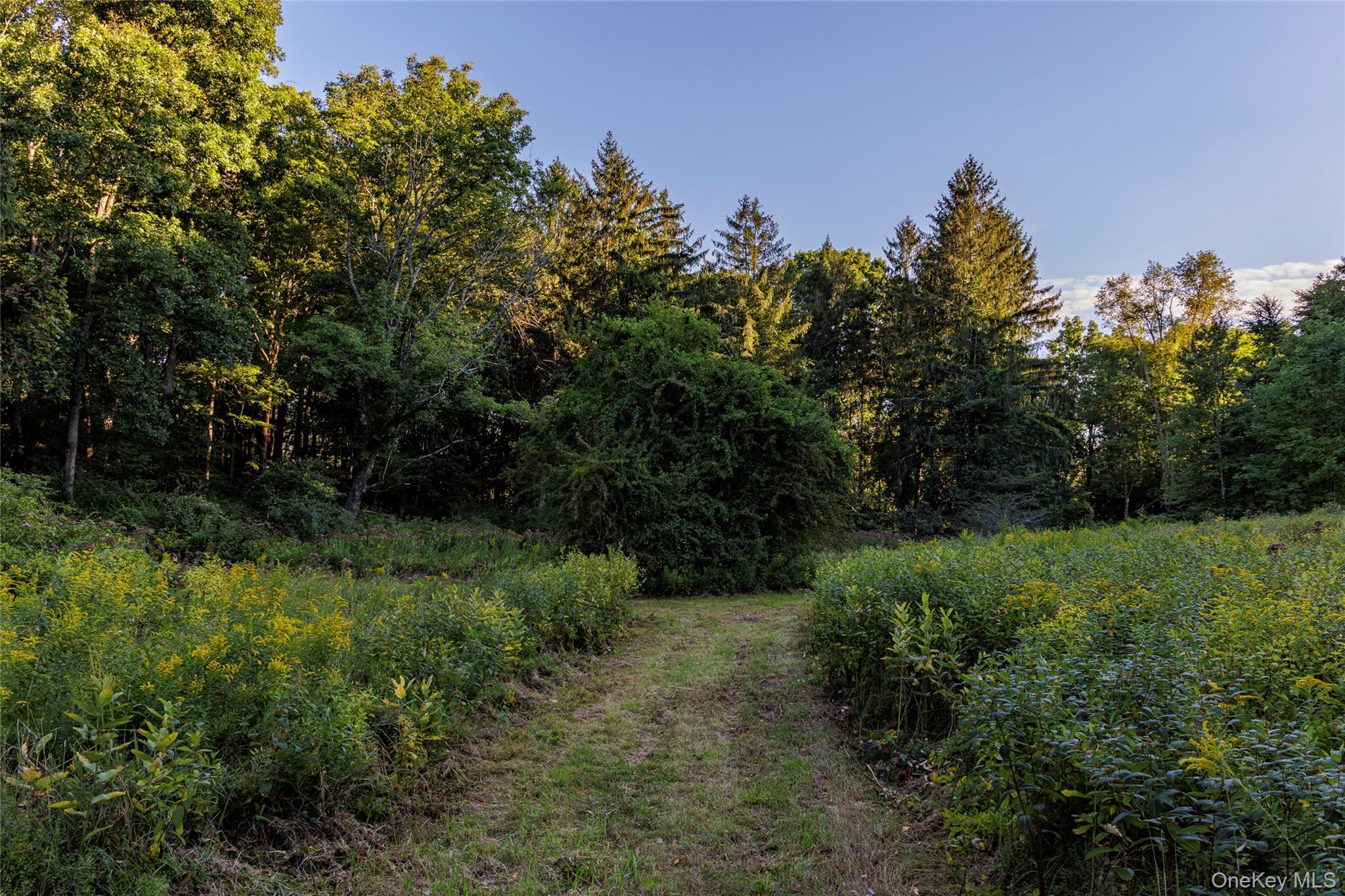 Single Family Fraleigh Hill Road  Dutchess County, NY 12545, MLS-1048609-40