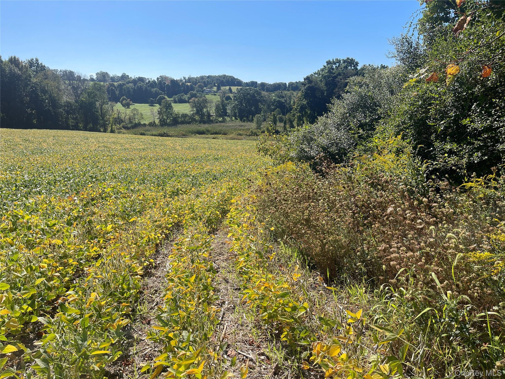 Single Family Fraleigh Hill Road  Dutchess County, NY 12545, MLS-1048609-5