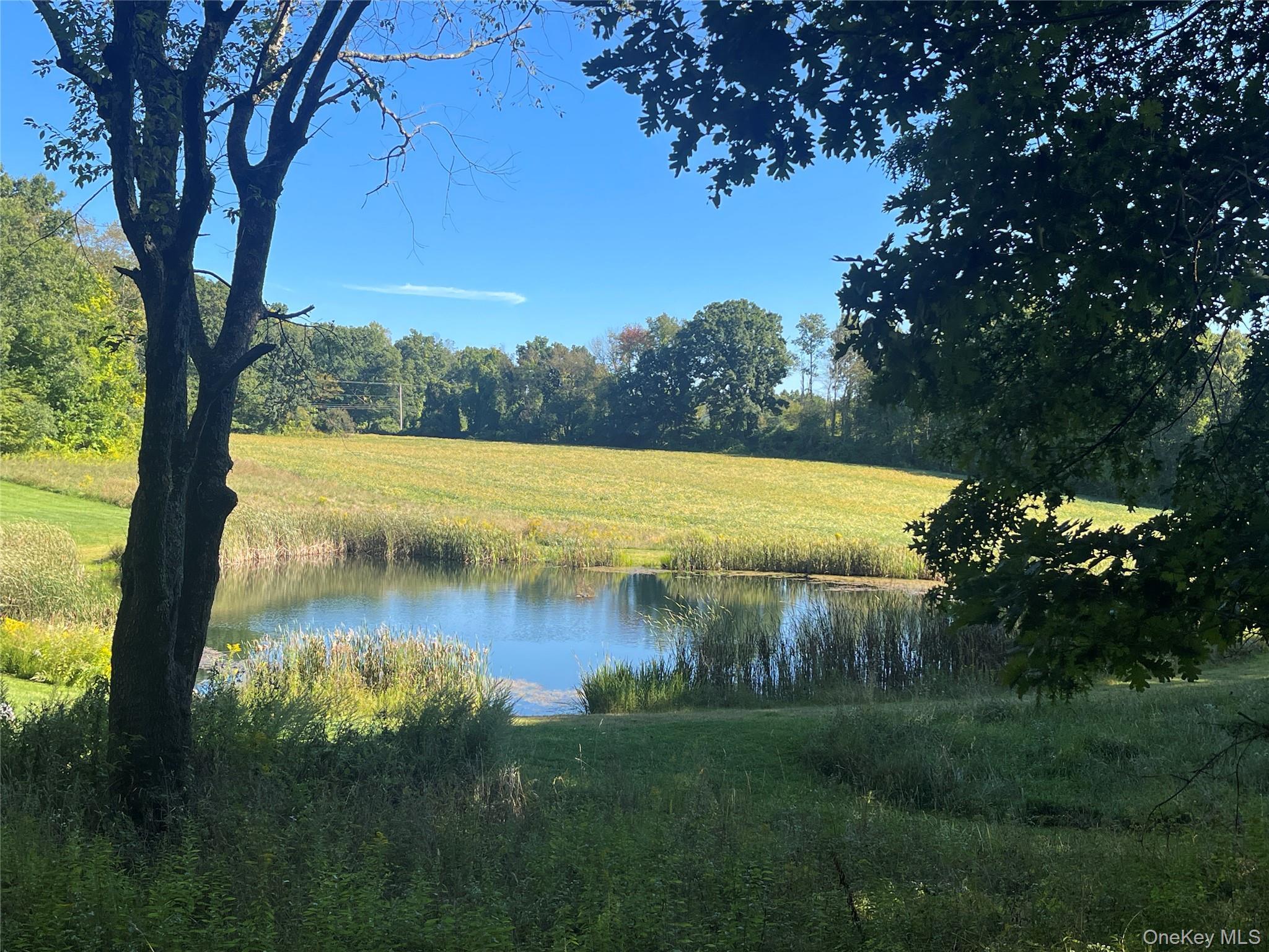 Single Family Fraleigh Hill Road  Dutchess County, NY 12545, MLS-1048609-6