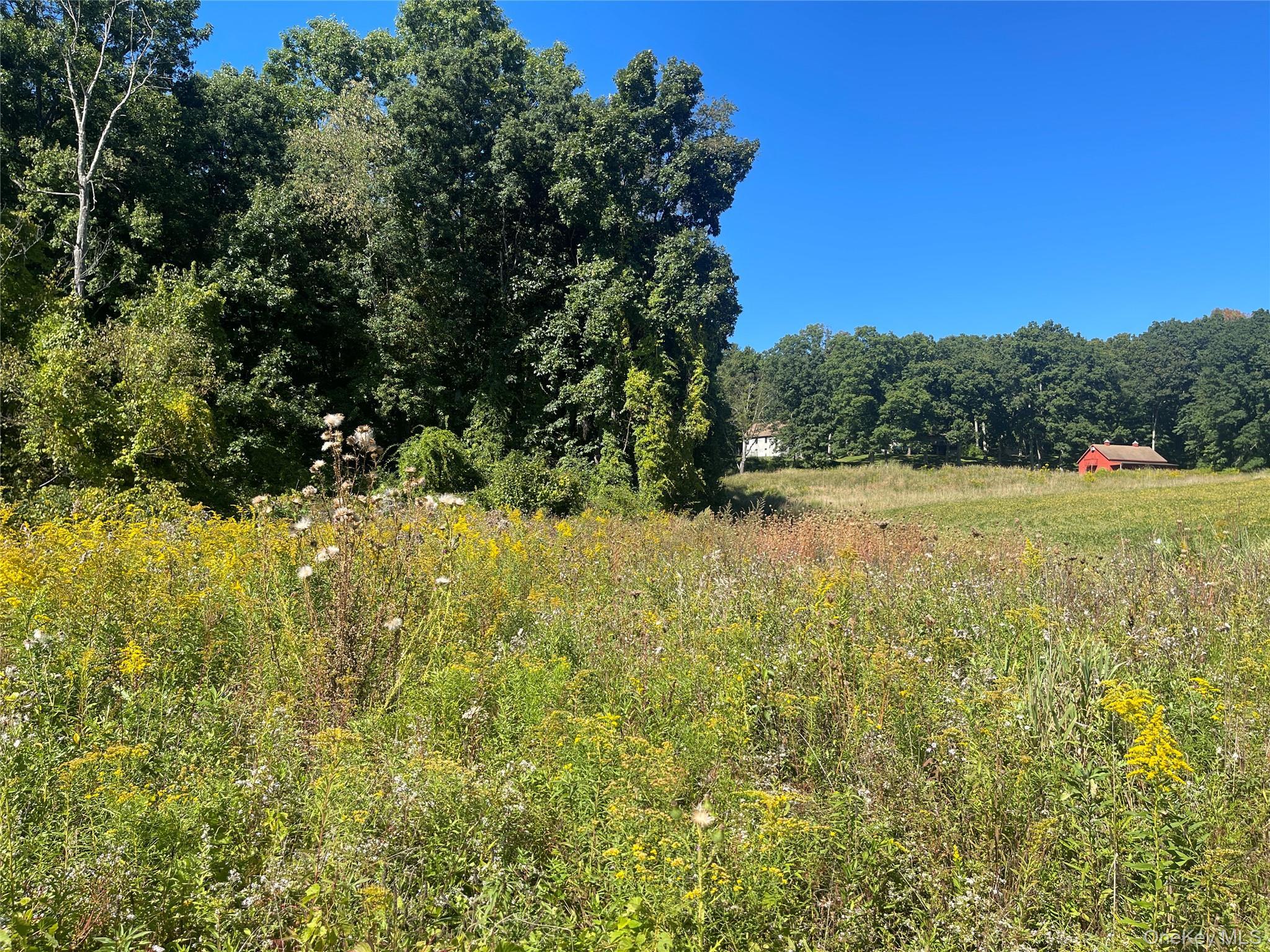 Single Family Fraleigh Hill Road  Dutchess County, NY 12545, MLS-1048609-7