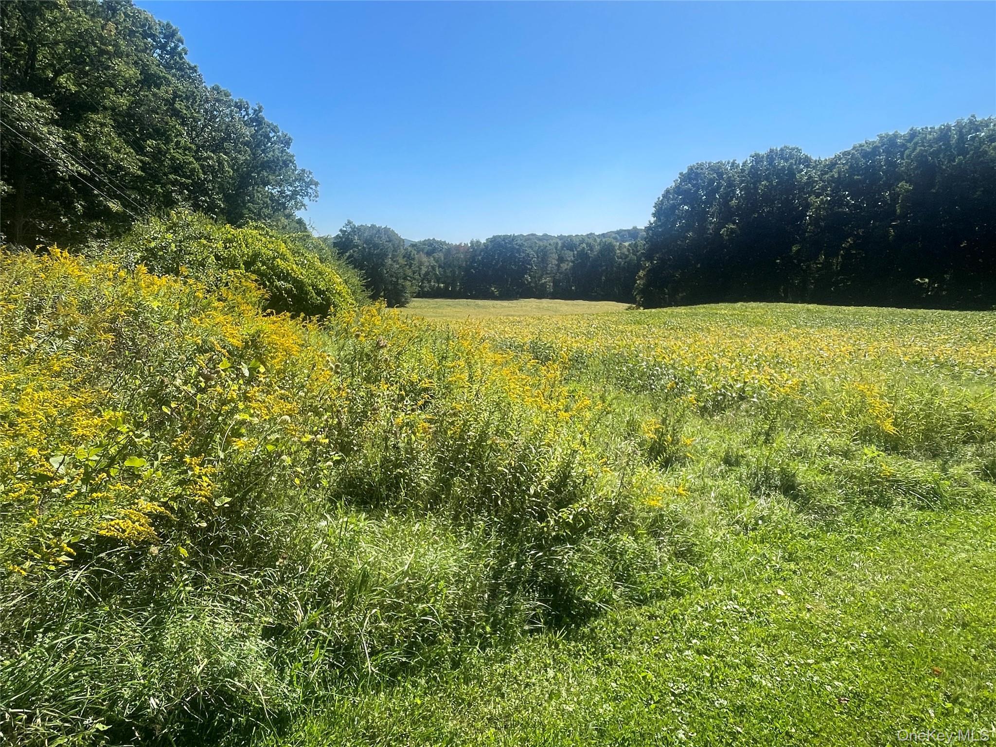 Single Family Fraleigh Hill Road  Dutchess County, NY 12545, MLS-1048609-8