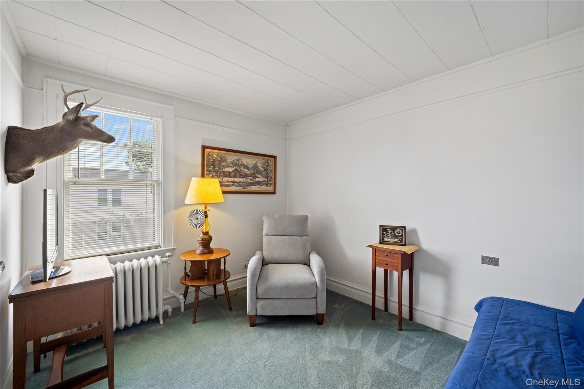 Single Family 69th Street  Queens, NY 11378, MLS-1048614-15