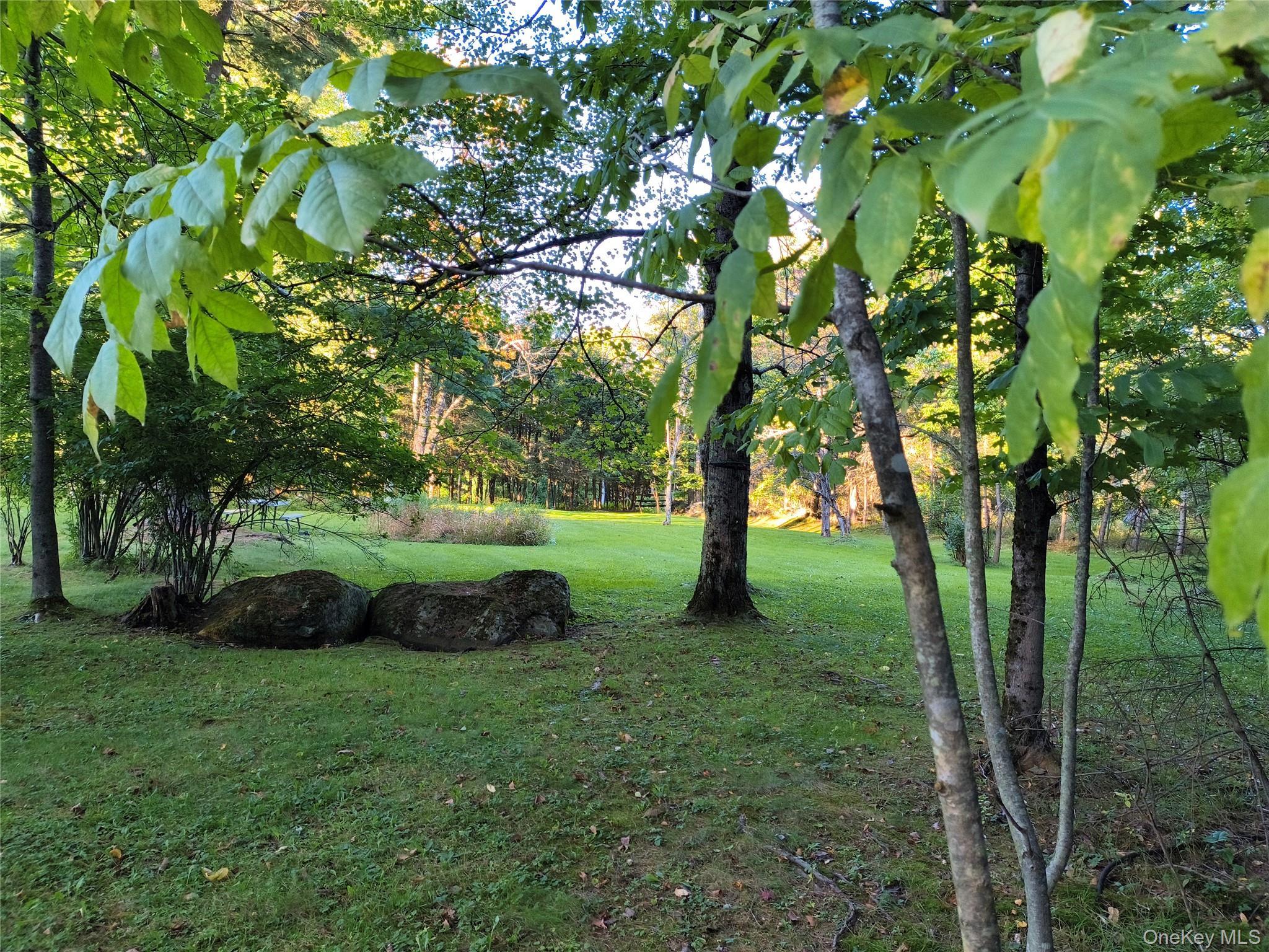 Single Family Jacob Drive Sullivan County, NY 12701, MLS-1048684-31