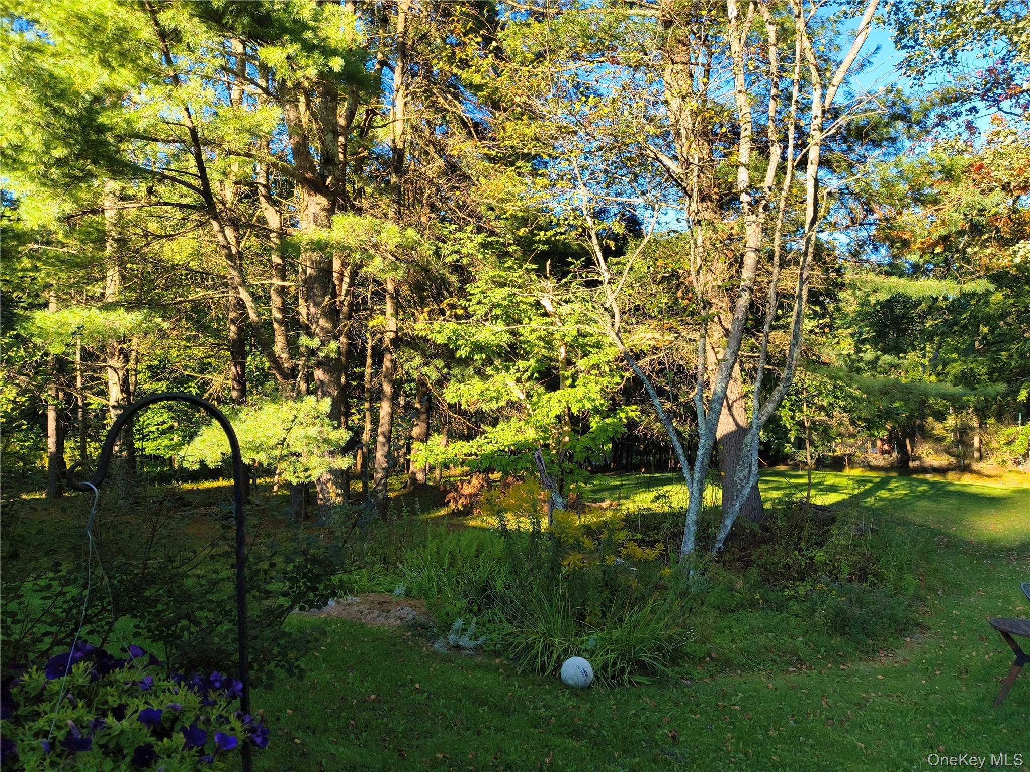 Single Family Jacob Drive Sullivan County, NY 12701, MLS-1048684-34