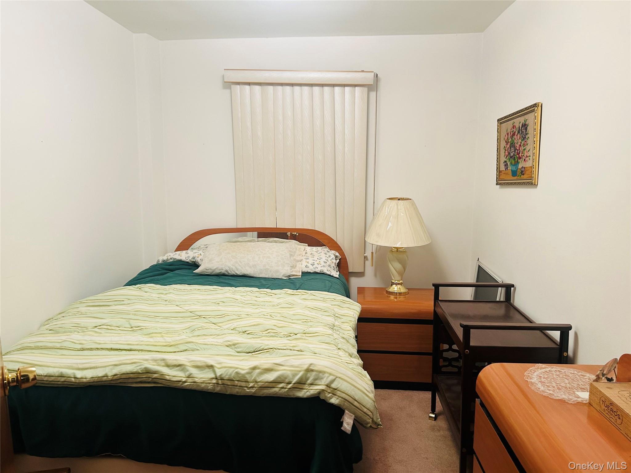 Single Family Neill Avenue  Bronx, NY 10461, MLS-1048762-7