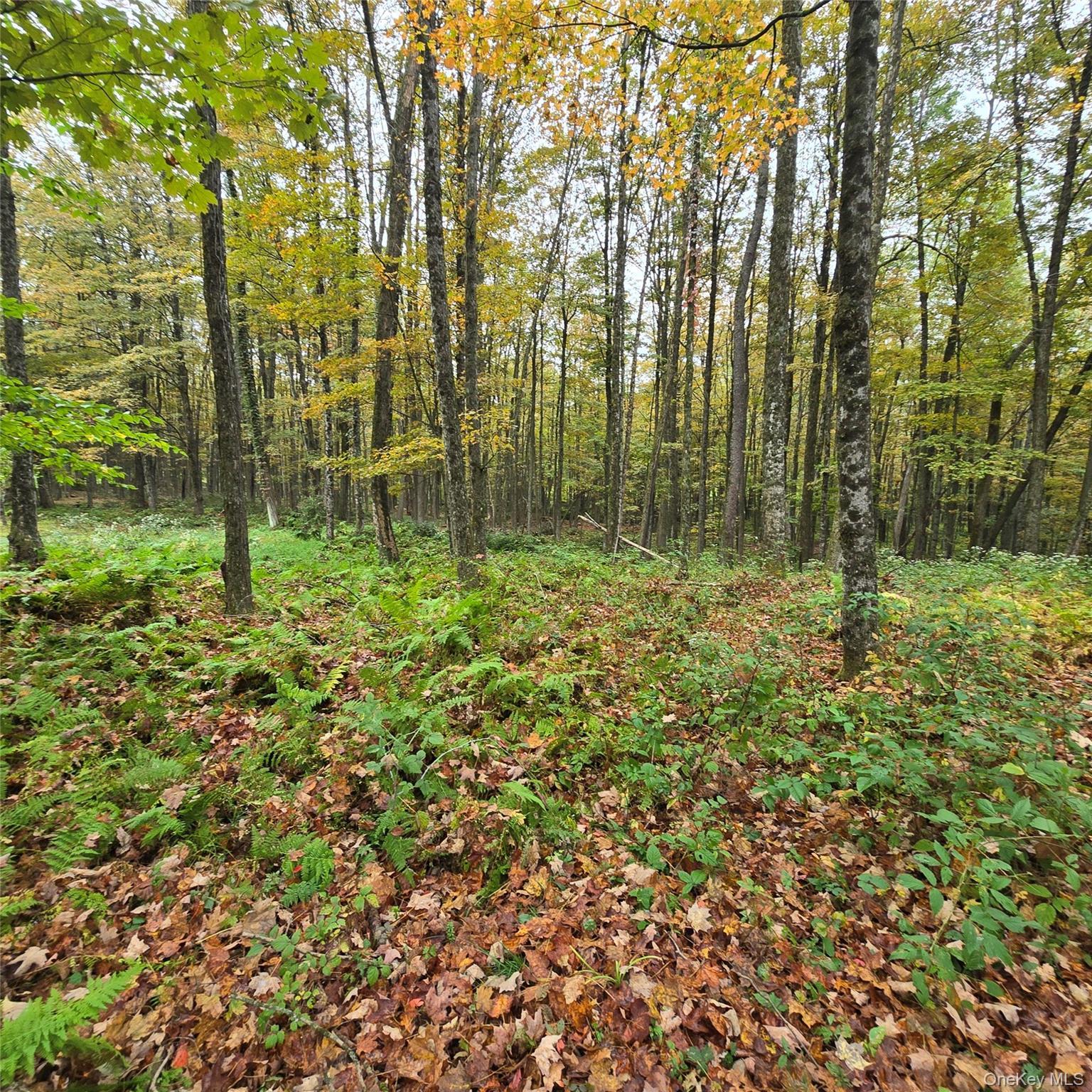 Single Family Swiss Hill Road N  Sullivan County, NY 12748, MLS-1048789-9