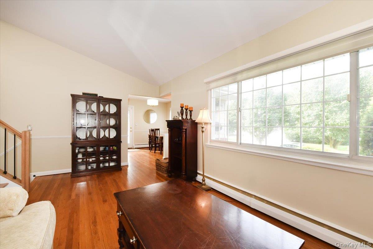 Single Family Linden Street Nassau County, NY 11762, MLS-1048870-10