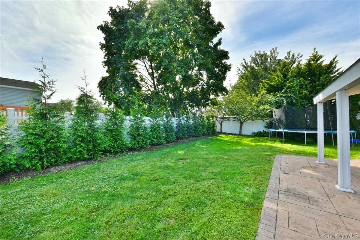 Single Family Linden Street Nassau County, NY 11762, MLS-1048870-30