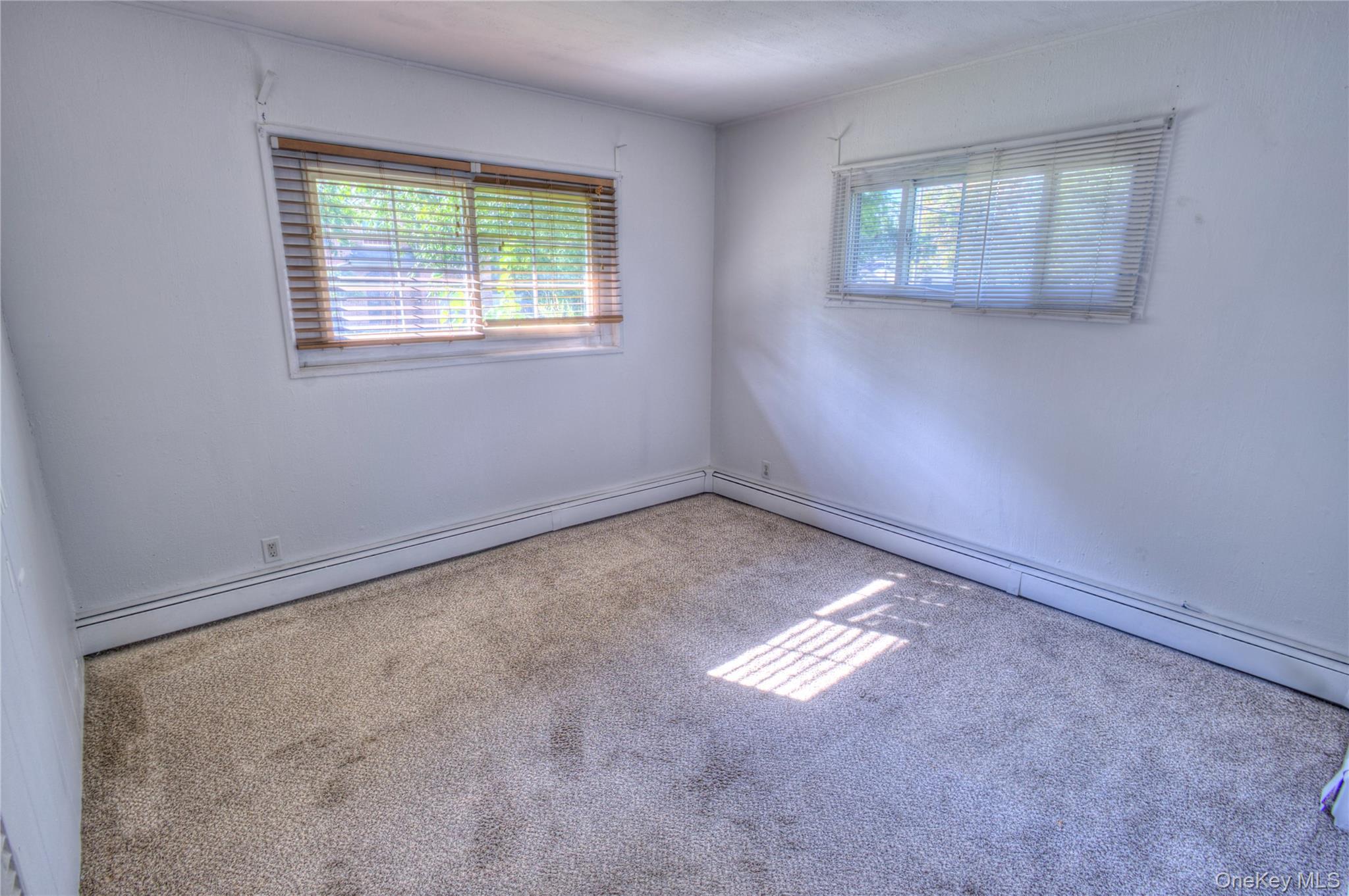 Single Family Radcliff Avenue  Nassau County, NY 11050, MLS-1048894-11