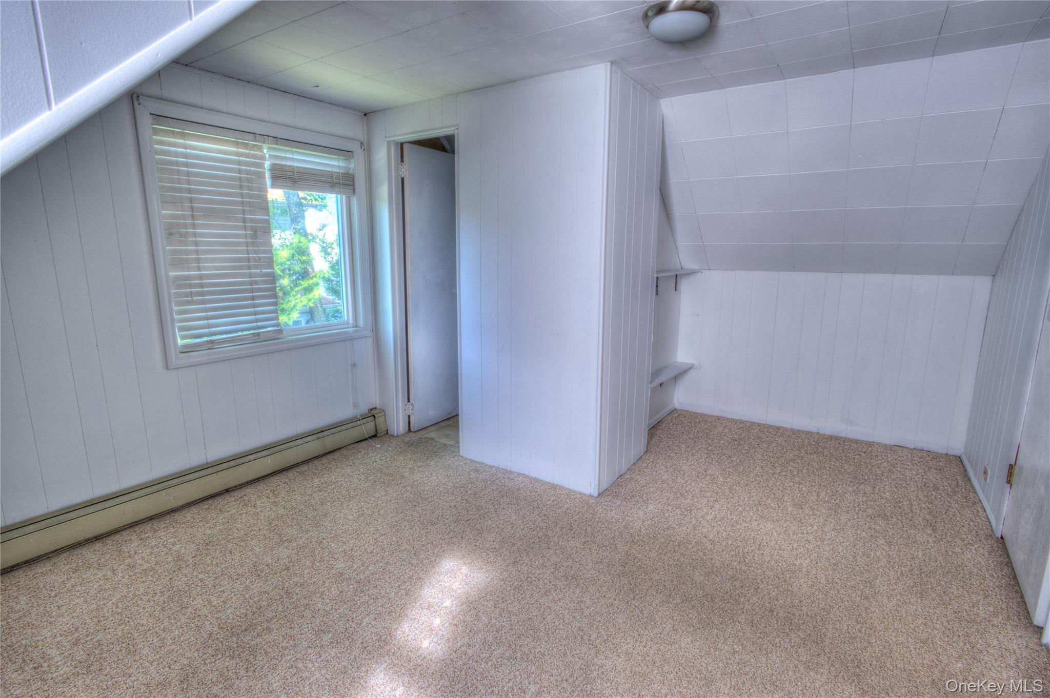 Single Family Radcliff Avenue  Nassau County, NY 11050, MLS-1048894-16