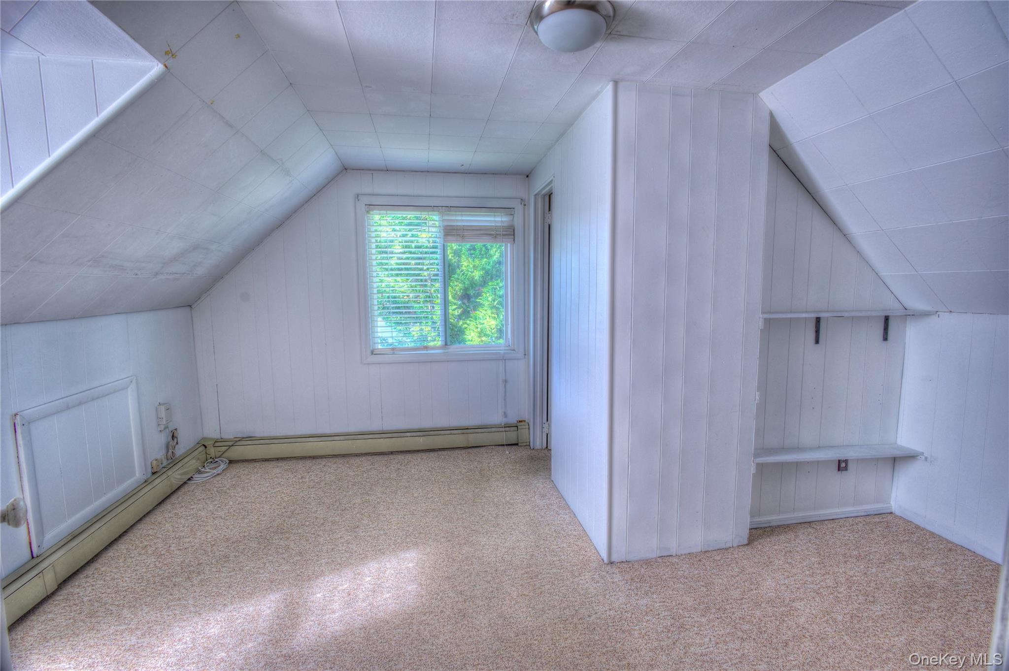 Single Family Radcliff Avenue  Nassau County, NY 11050, MLS-1048894-17