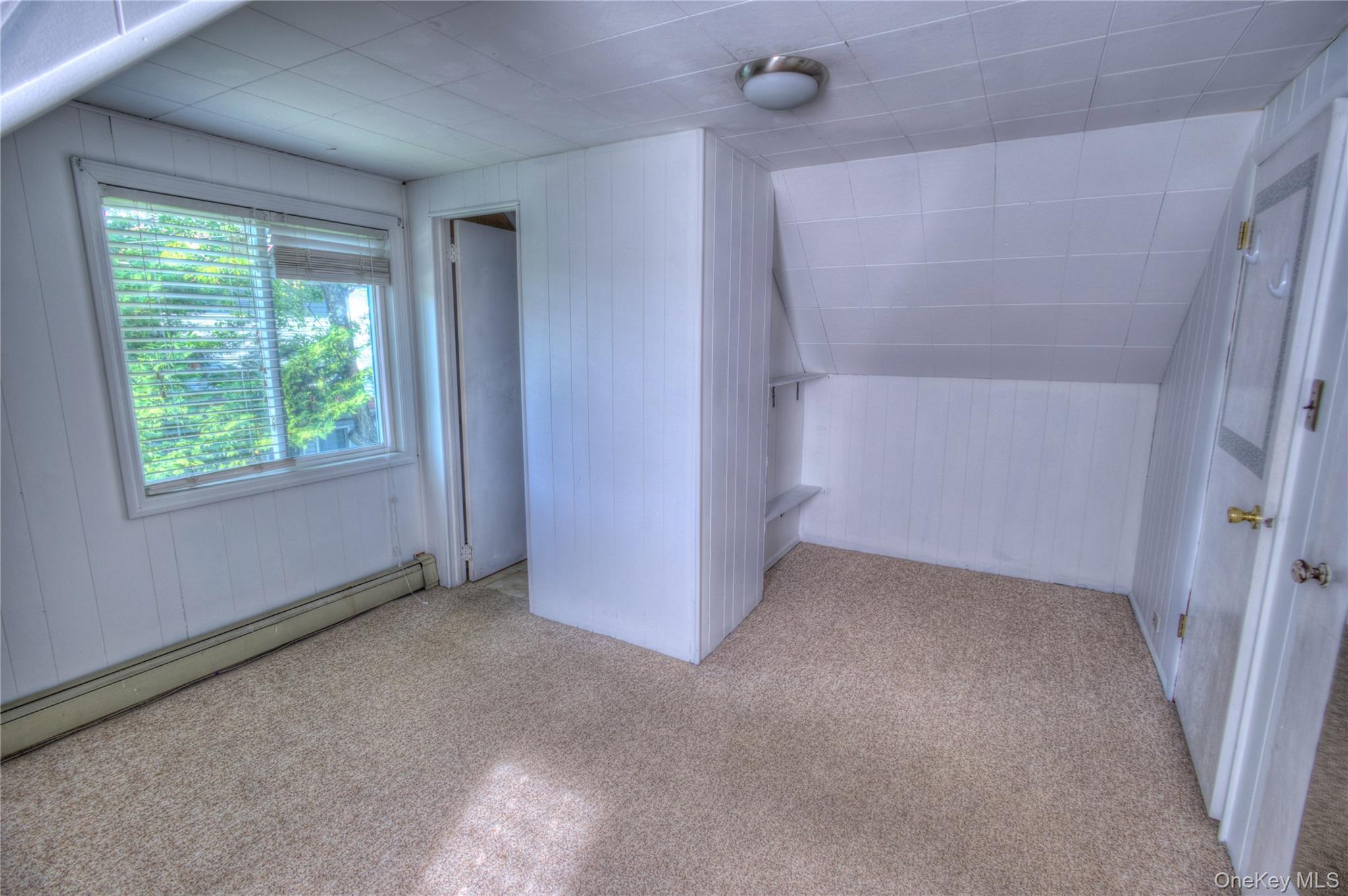 Single Family Radcliff Avenue  Nassau County, NY 11050, MLS-1048894-18