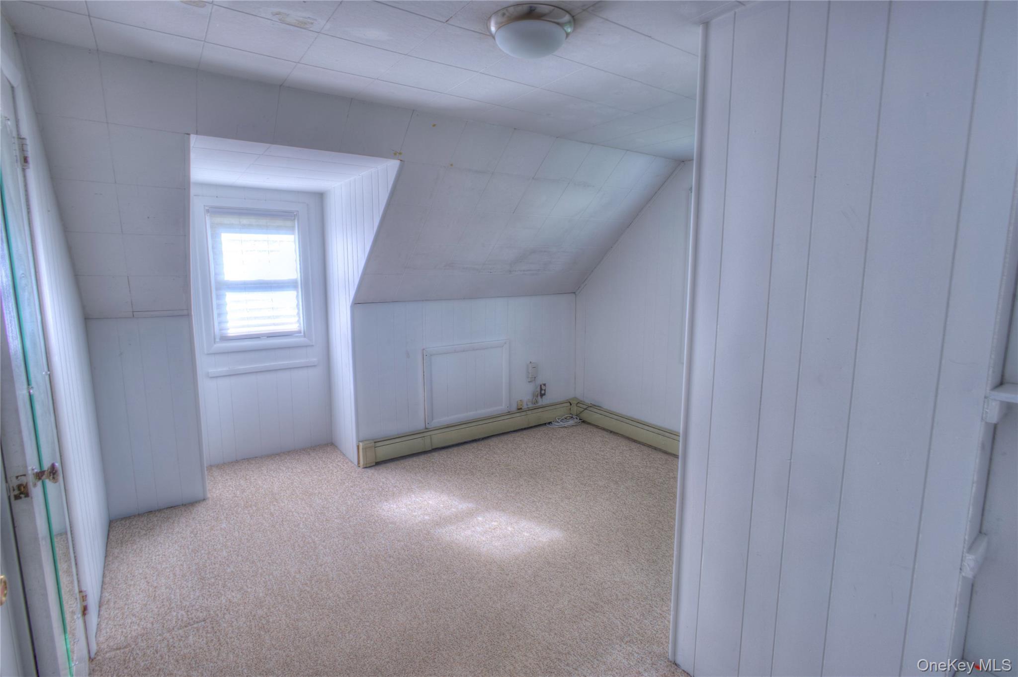 Single Family Radcliff Avenue  Nassau County, NY 11050, MLS-1048894-20