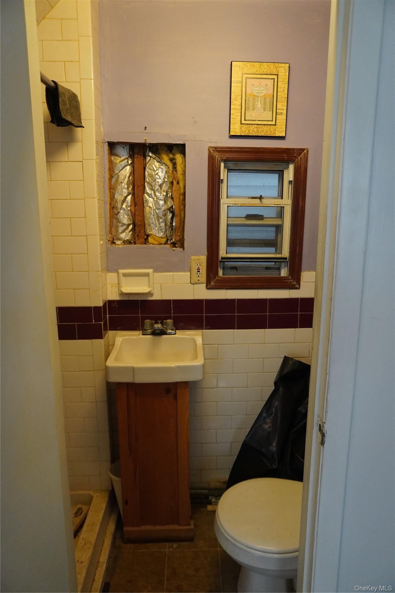 Single Family Grace Avenue  Bronx, NY 10466, MLS-1048968-10