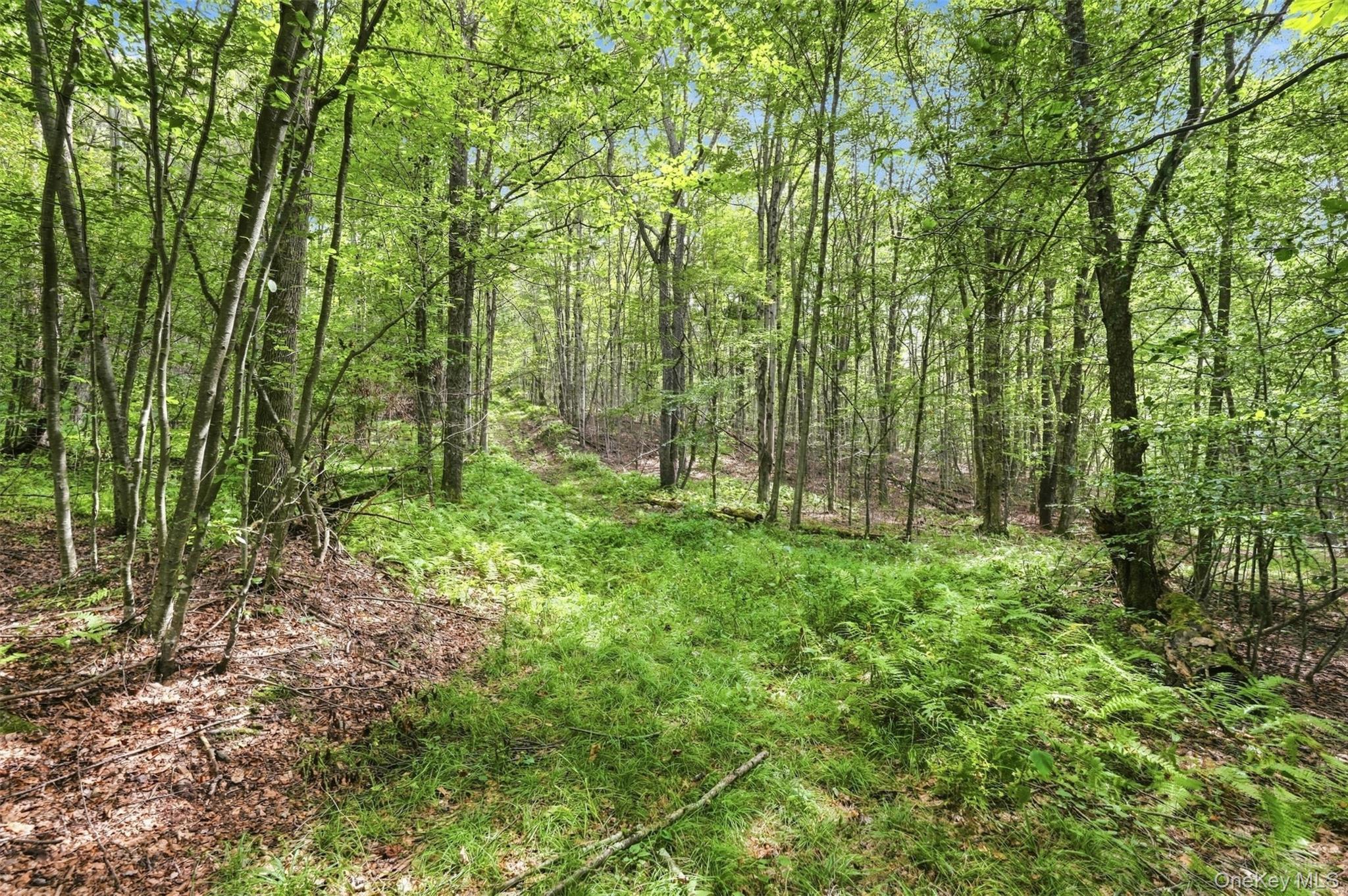 Single Family County Road 17  Delaware County, NY 12776, MLS-1049012-41