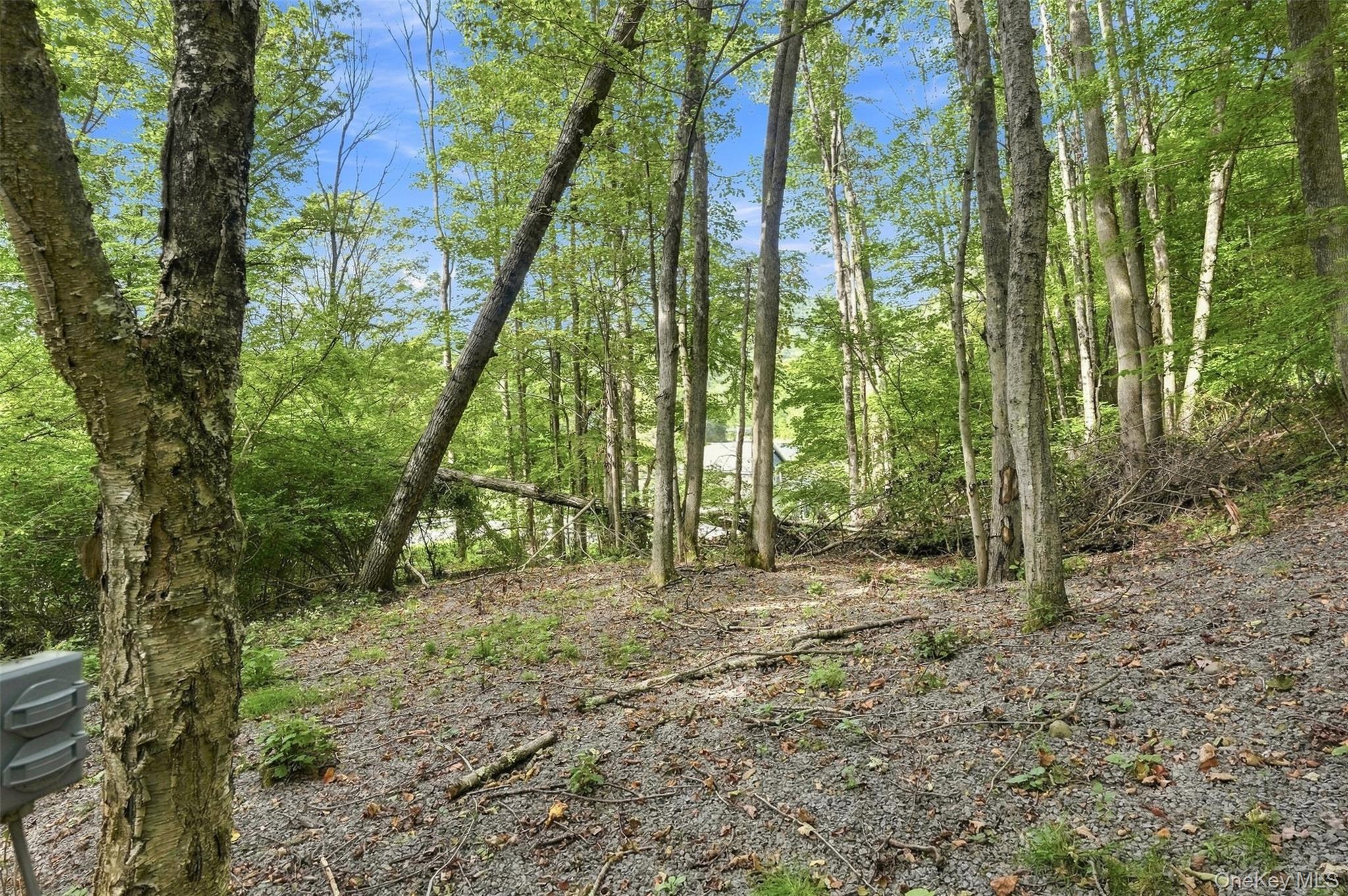 Single Family County Road 17  Delaware County, NY 12776, MLS-1049012-42