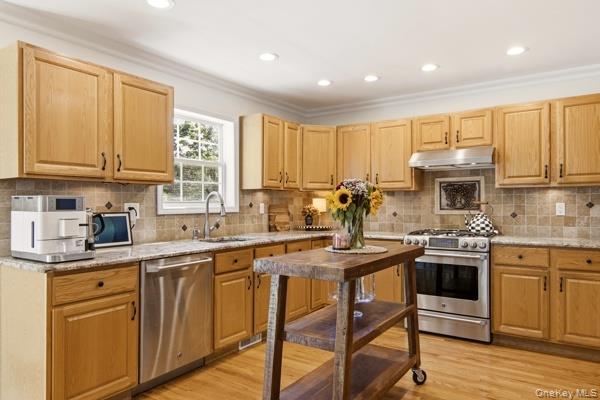 Single Family Old Neck Court Suffolk County, NY 11949, MLS-1049019-7