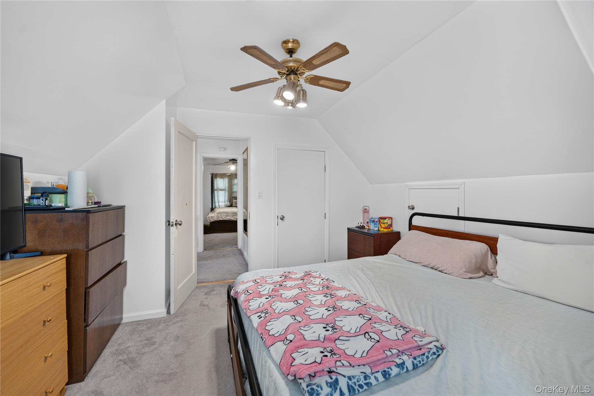Single Family 235th Street  Queens, NY 11422, MLS-1049033-21