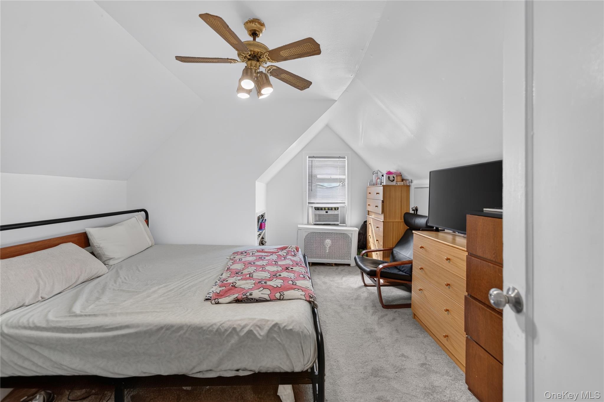 Single Family 235th Street  Queens, NY 11422, MLS-1049033-22