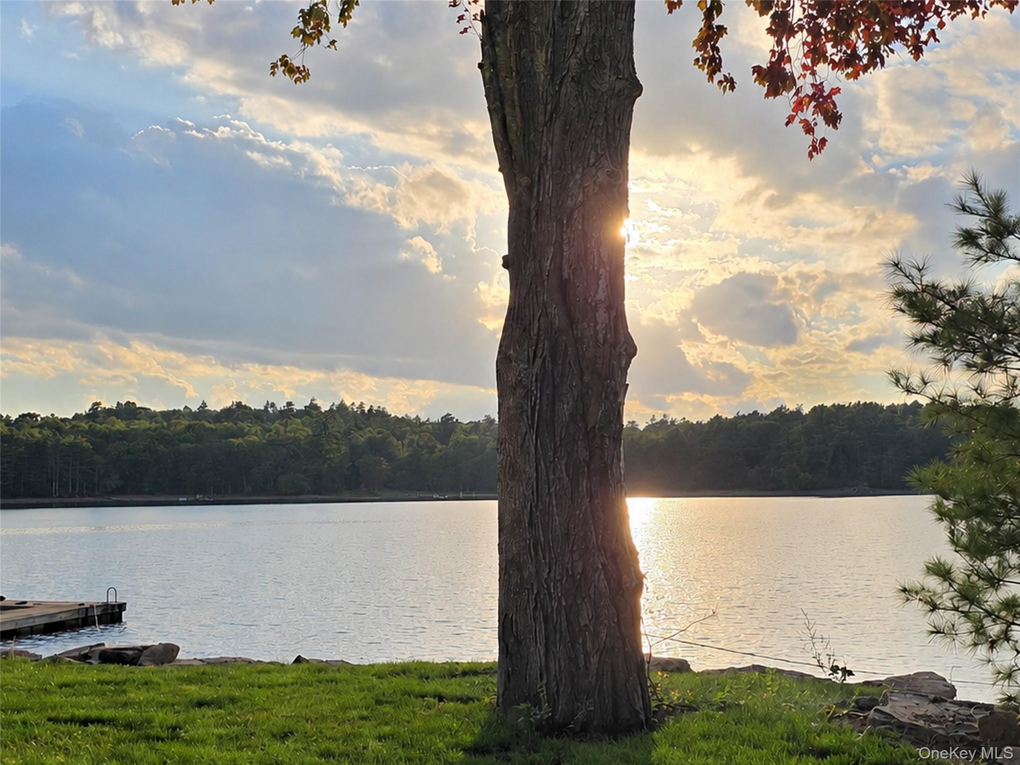 Single Family Starlight Road Sullivan County, NY 12701, MLS-1049043-33