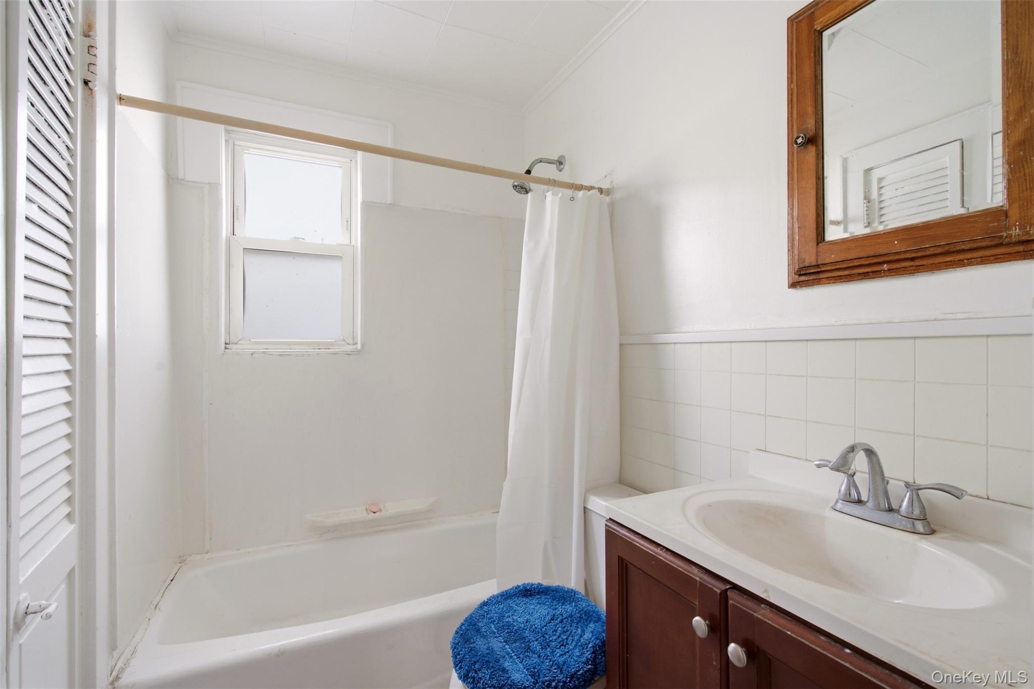 Single Family Cornell Street Nassau County, NY 11596, MLS-1049055-13