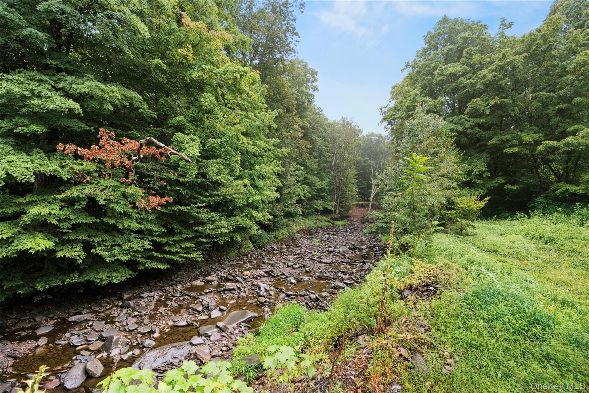 Single Family Winter Clove Road  Greene County, NY 12413, MLS-1049063-2