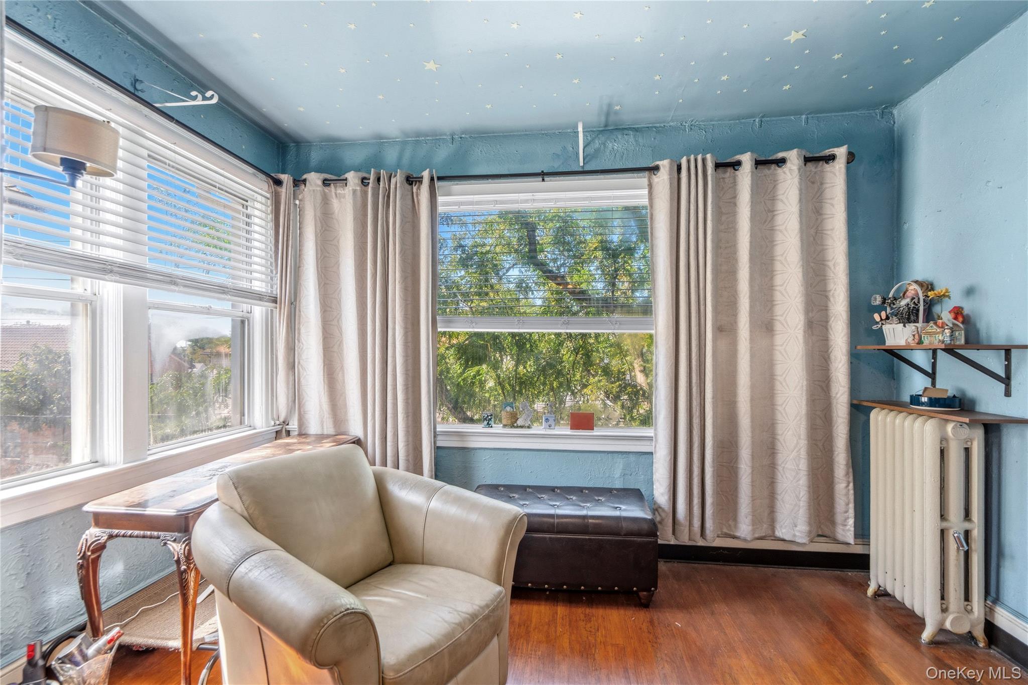 Single Family 125th Street Queens, NY 11356, MLS-1049066-14