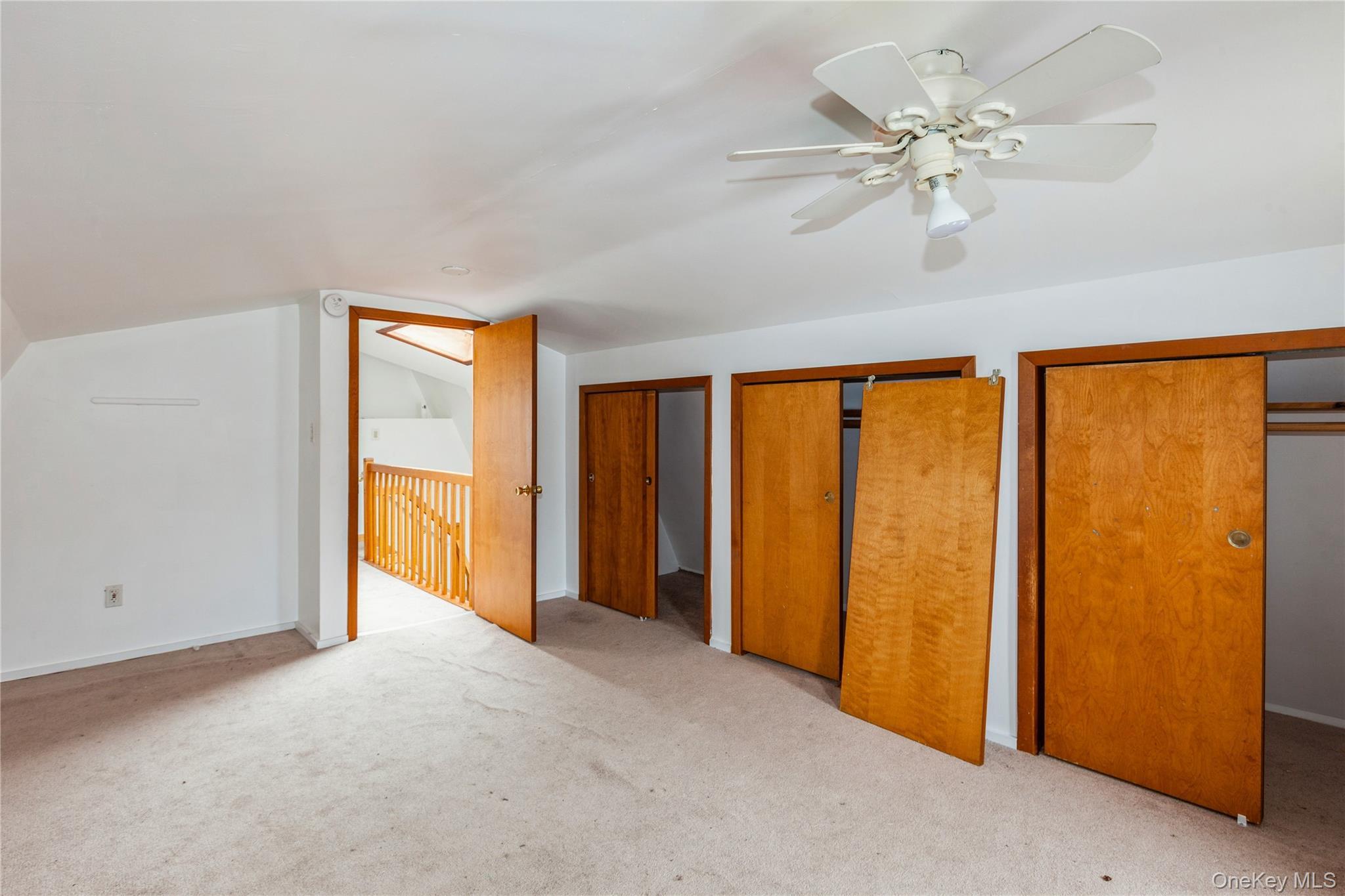 Single Family South Street Nassau County, NY 11783, MLS-1049081-19