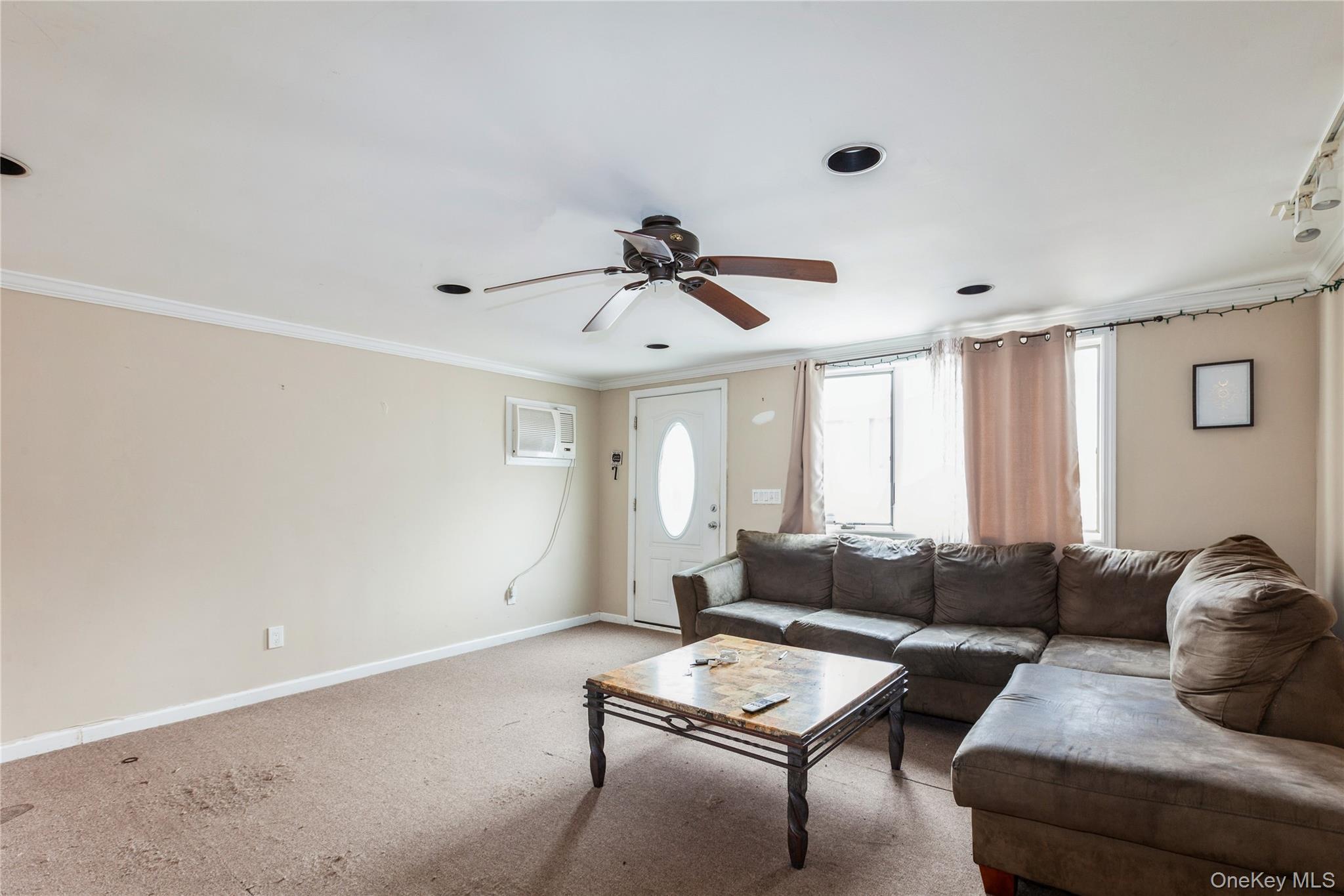 Single Family South Street Nassau County, NY 11783, MLS-1049081-21