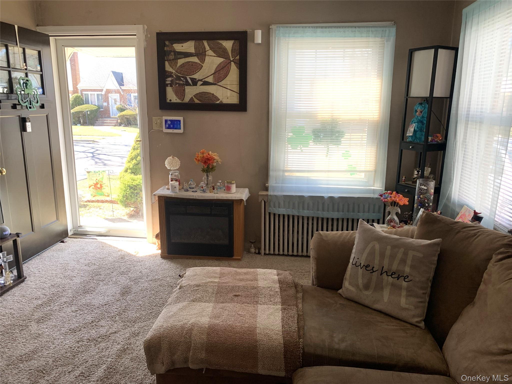 Single Family Wilton Street Nassau County, NY 11040, MLS-1049100-2