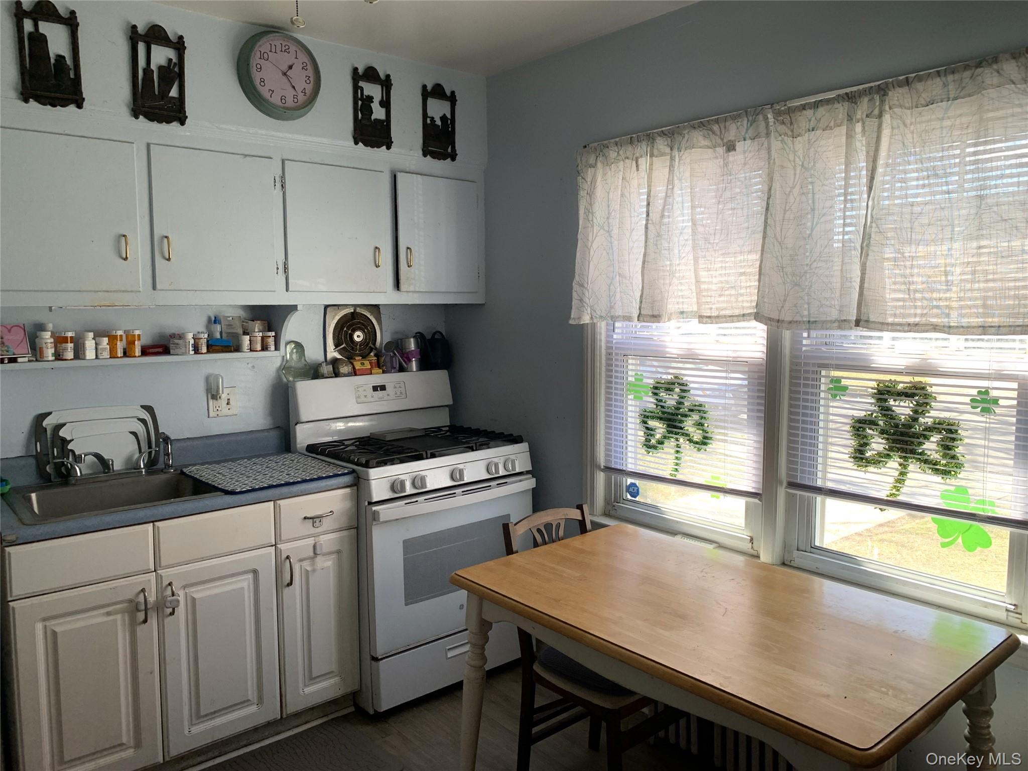 Single Family Wilton Street Nassau County, NY 11040, MLS-1049100-3