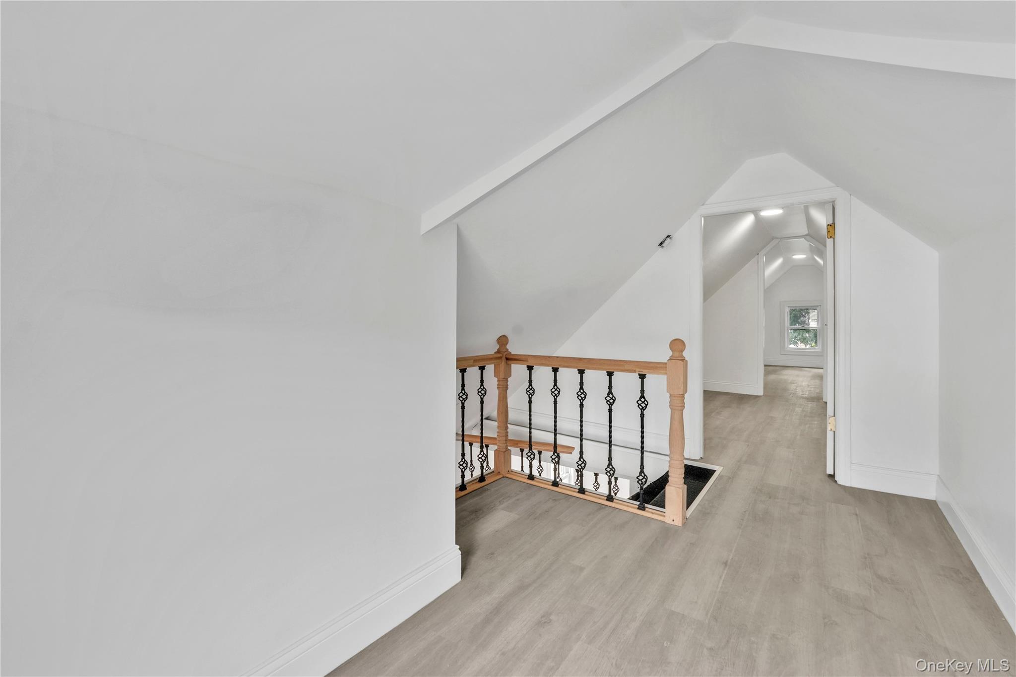 Single Family 115th Avenue Queens, NY 11436, MLS-1049113-14