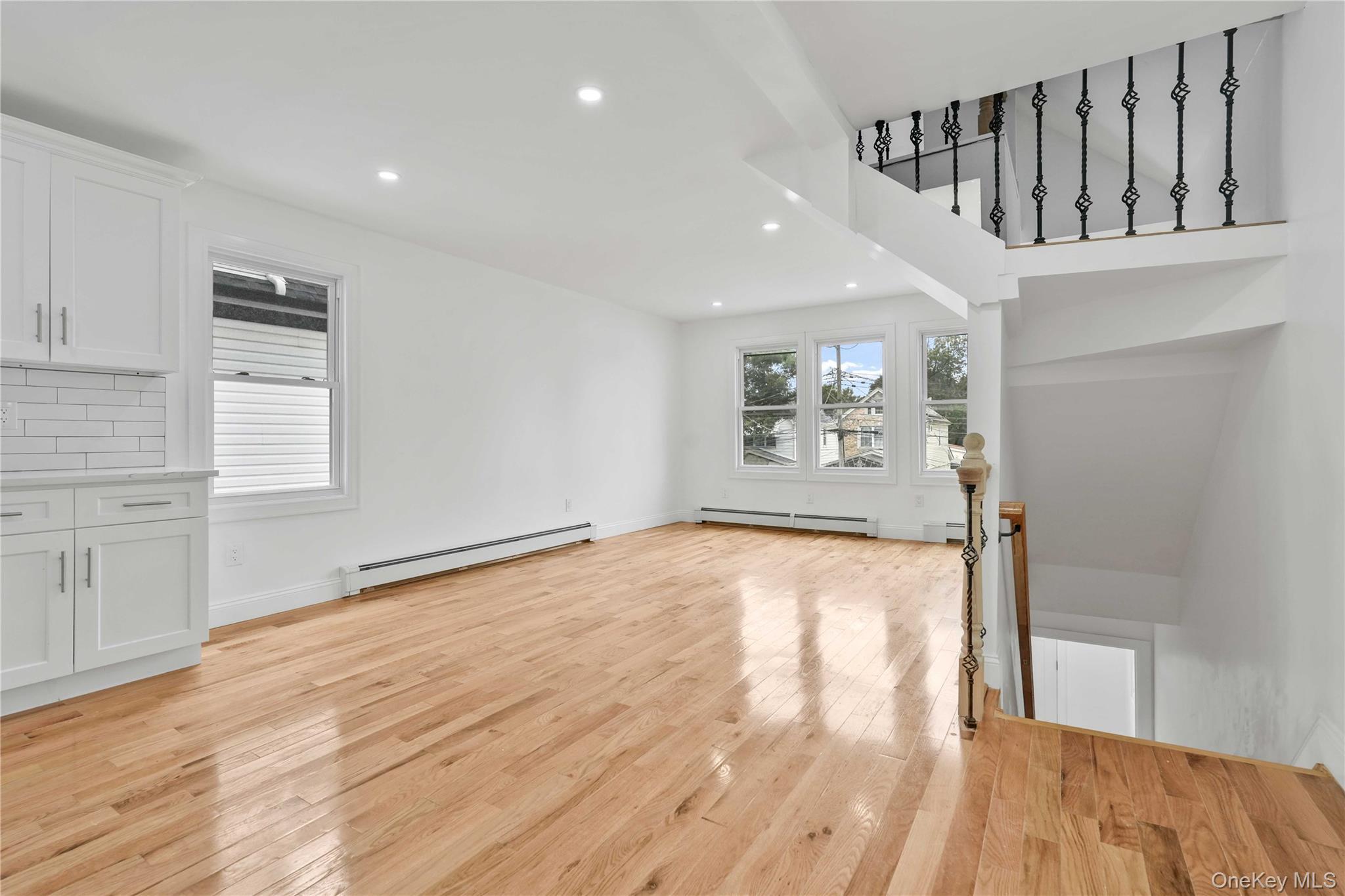 Single Family 115th Avenue Queens, NY 11436, MLS-1049113-8