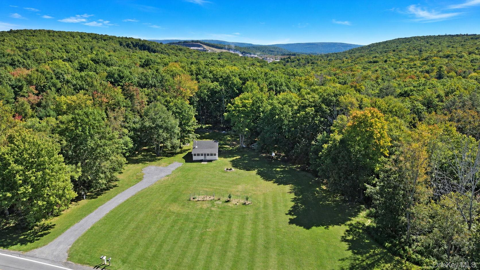 Single Family County Route 56  Sullivan County, NY 12790, MLS-1049127-2