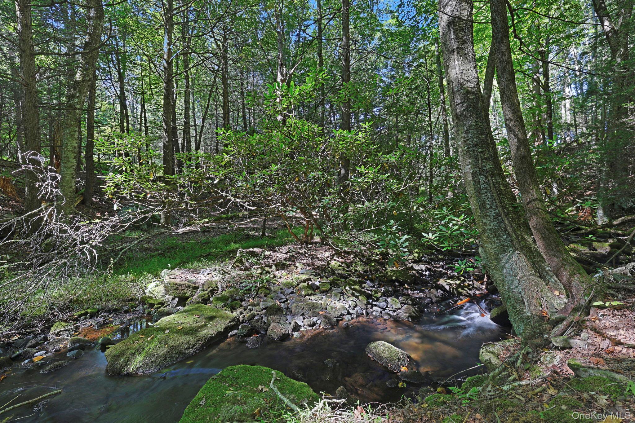 Single Family County Route 56  Sullivan County, NY 12790, MLS-1049127-27