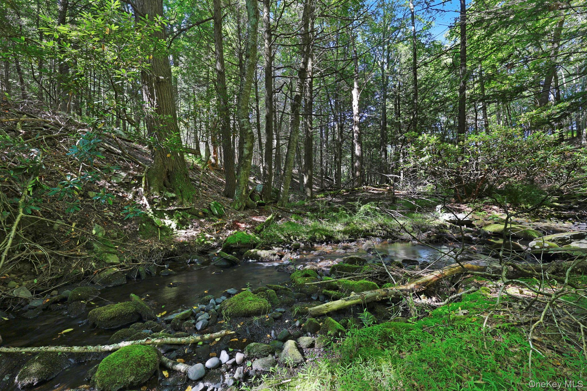 Single Family County Route 56  Sullivan County, NY 12790, MLS-1049127-28